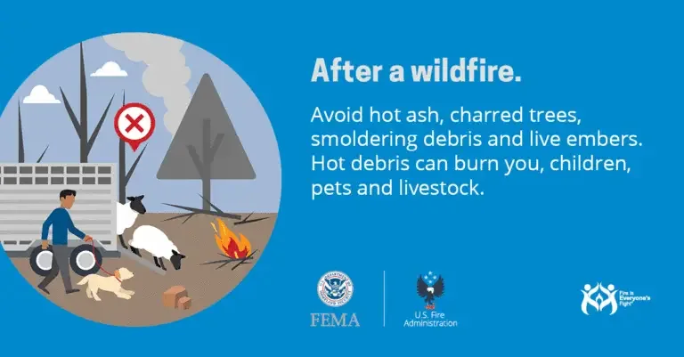 Staying safe after a wildfire: keep clear of ash, charred trees, and embers to protect yourself and loved ones from harm.
