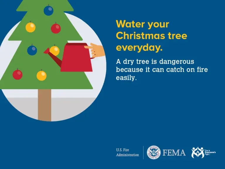 Keep your holidays safe: remember to water your christmas tree daily to prevent fire hazards.