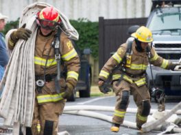 Branchville source photograph